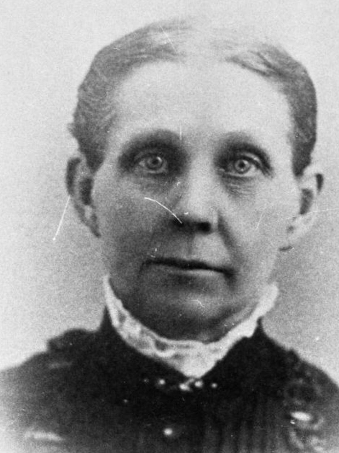 Sarah Limerick (1804 - 1899) Profile